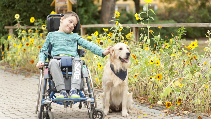 Ein Junge im Rollstuhl streichelt einen Golden Retriever.